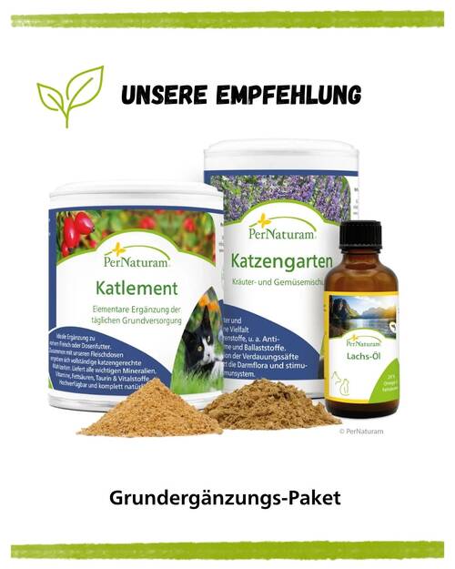 Artgerechte Katzenfütterung Kurz & Knapp Empfehlung