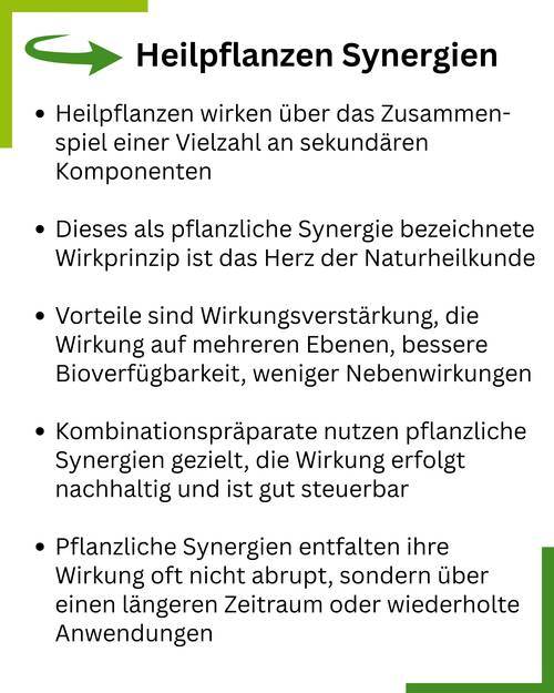 Synergien Pflanzen Summary