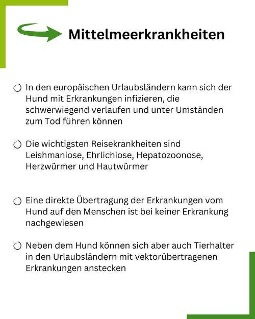 Reisekrankheiten 2 Summary