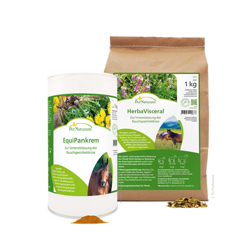 CONTENT SEO Gruppe HerbaVisceral EquiPankrem
