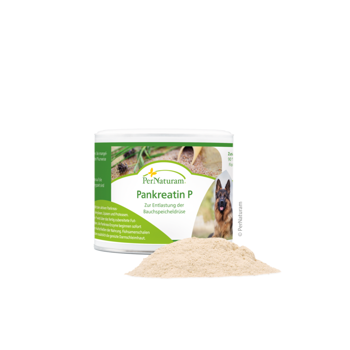 Pancreatine P 1 x 100 g