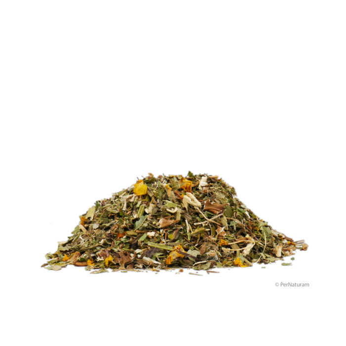 Bronchosan Thee (Avis) (500g)*