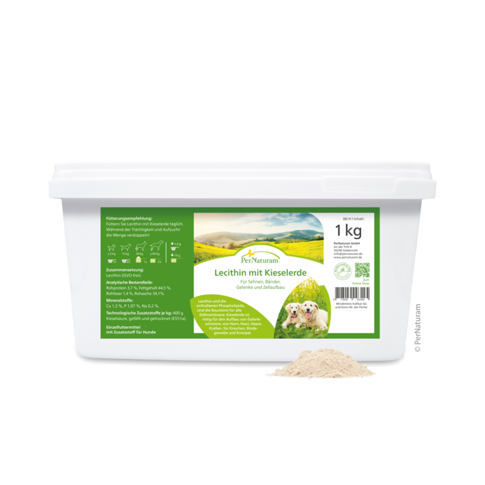 Lecithine met Silica 1 kg