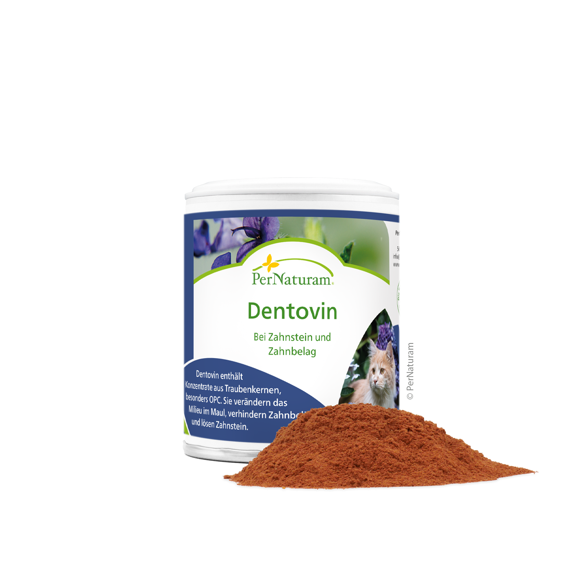 Dentovin