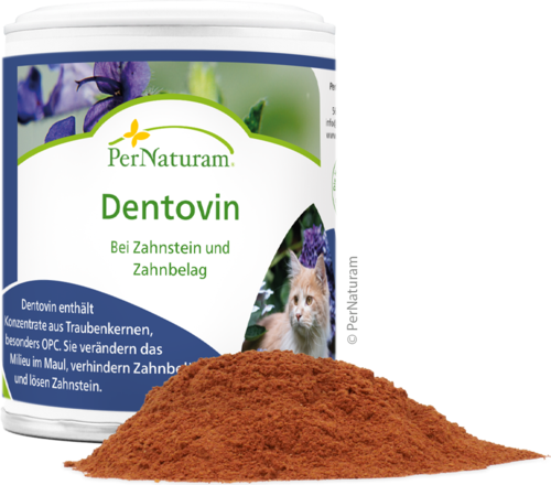 Dentovin