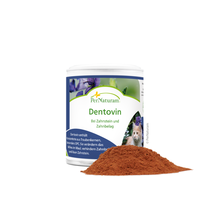 Dentovin