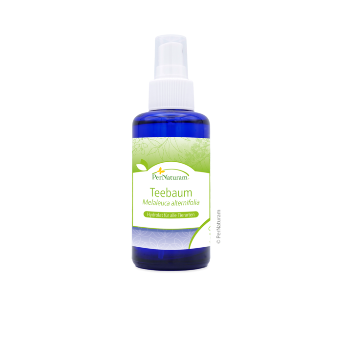 Tea tree hydrolaat (100 ml)