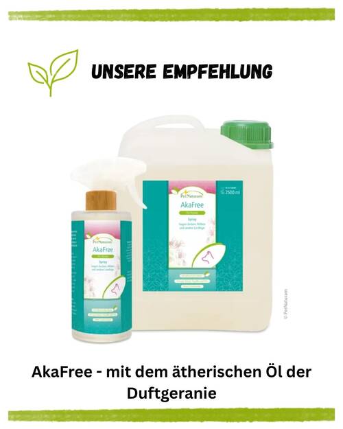 Lausfliegen Hund KV Produktempfehlung