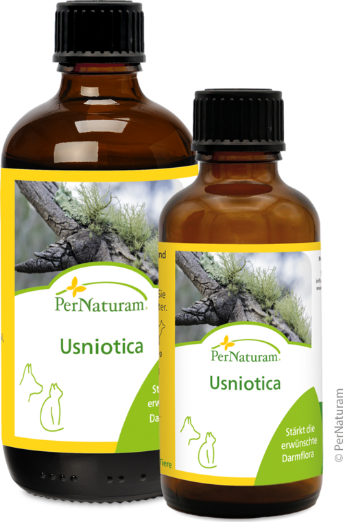 Usniotica
