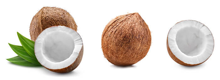 AdobeStock 608109519 Kokos Cocos nucifera ©Maks Narodenko