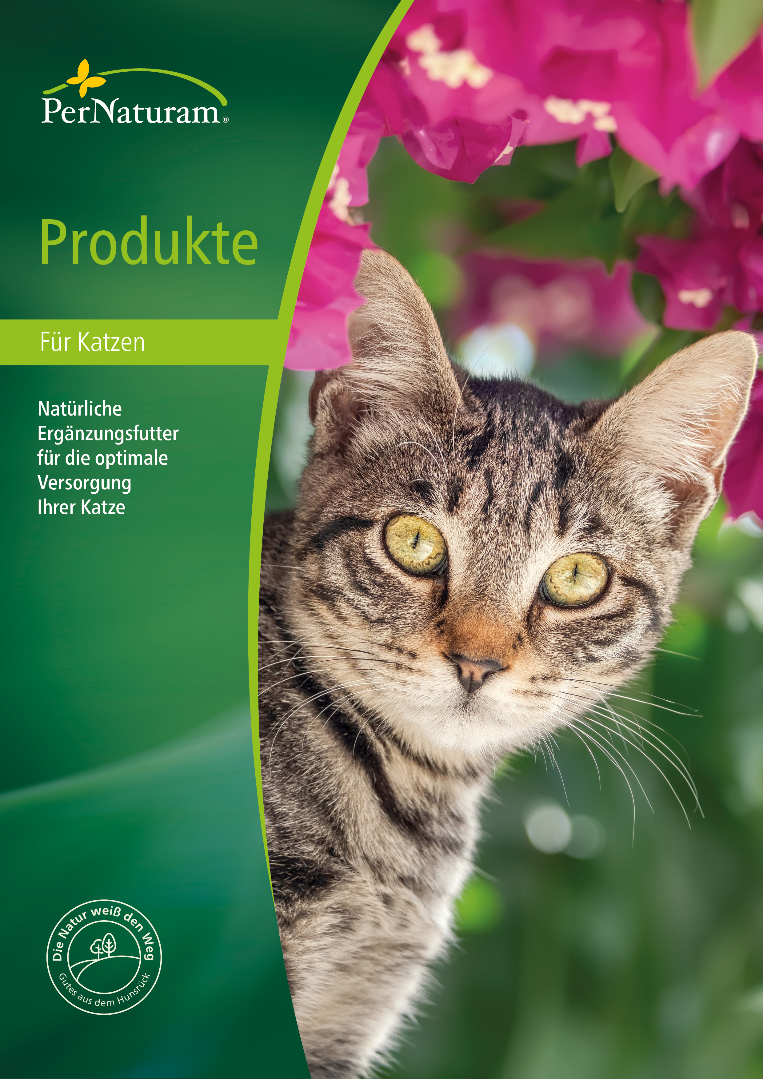 Productcatalogus katten