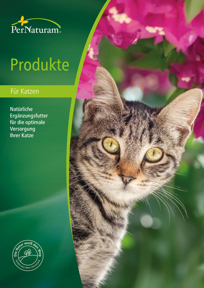 Productcatalogus katten
