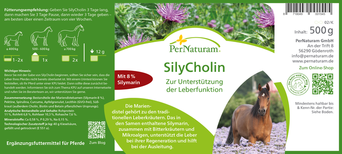 SilyCholin