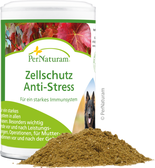 Celbescherming anti-stress