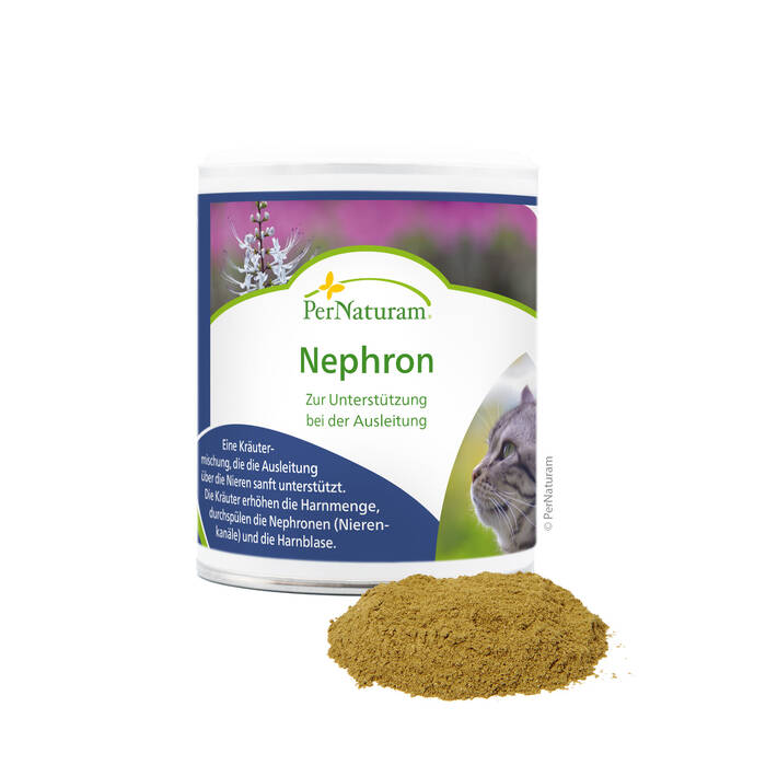 Nephron
