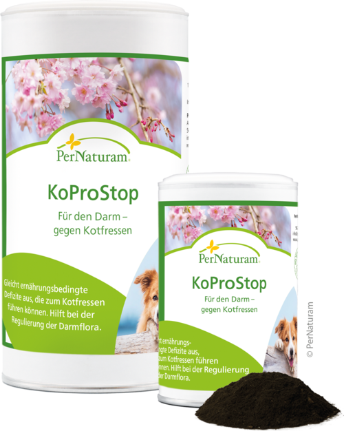 KoProStop