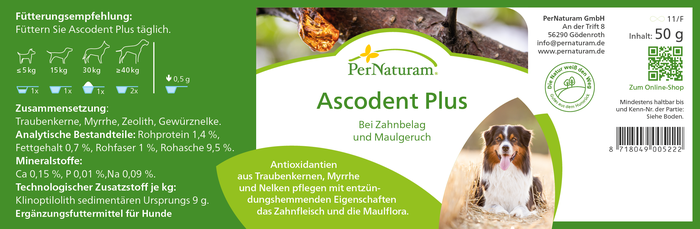 Ascodent Plus - ZahnHygiene