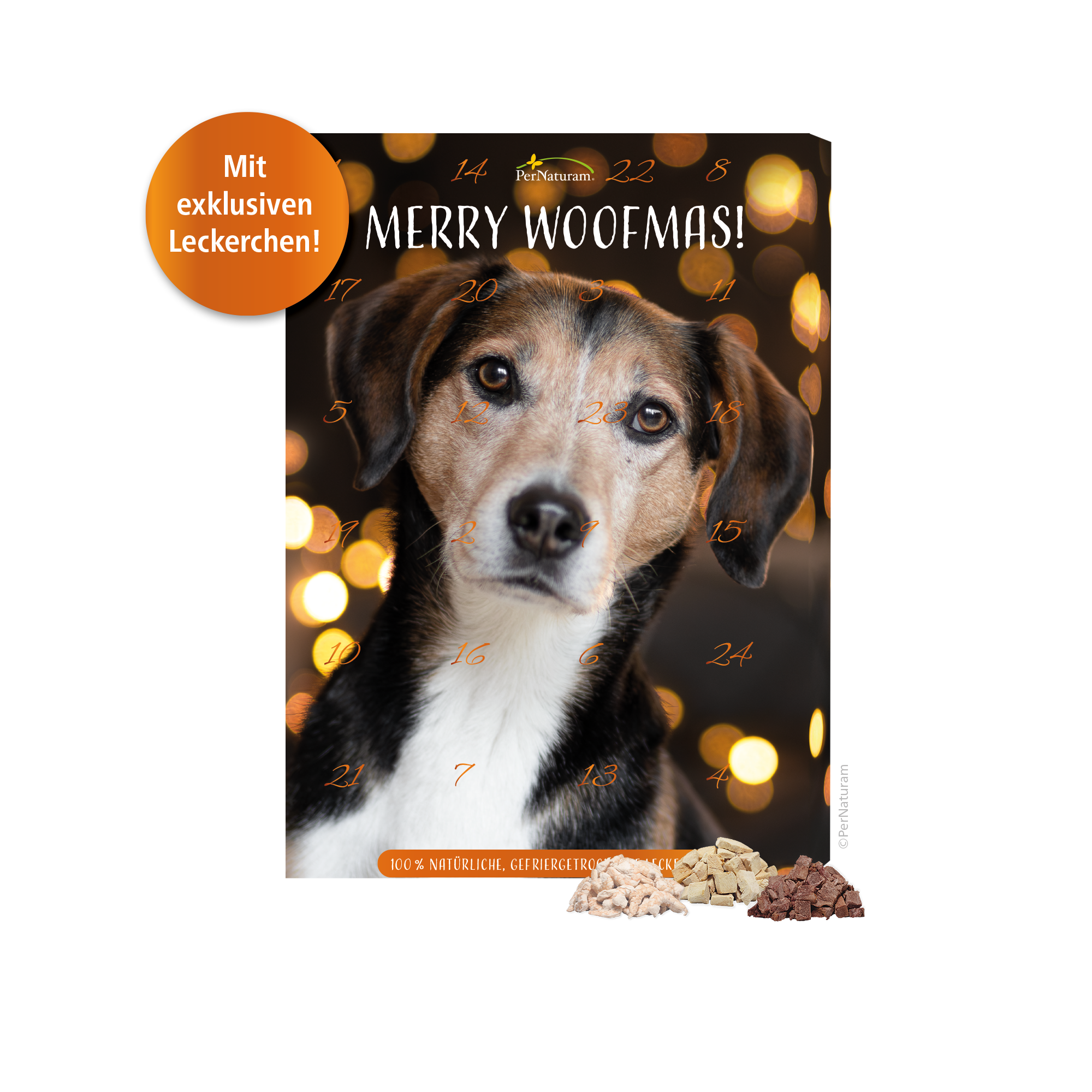 Adventskalender für Hunde