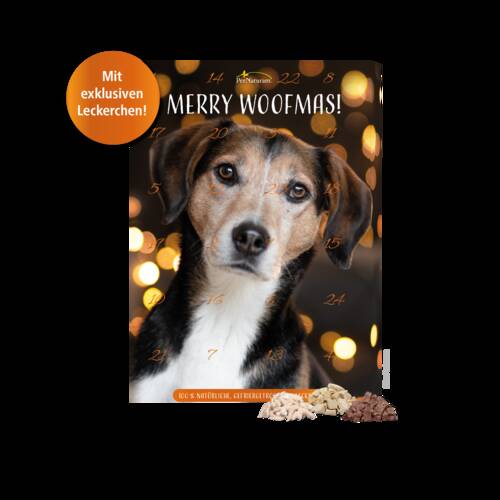 Adventskalender für Hunde