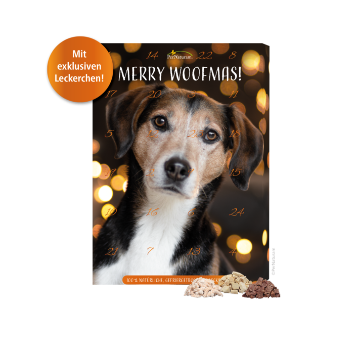 Adventskalender für Hunde