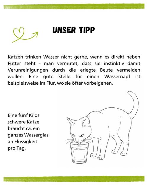 Artgerechte Katzenfütterung Kurz & Knapp Trinken