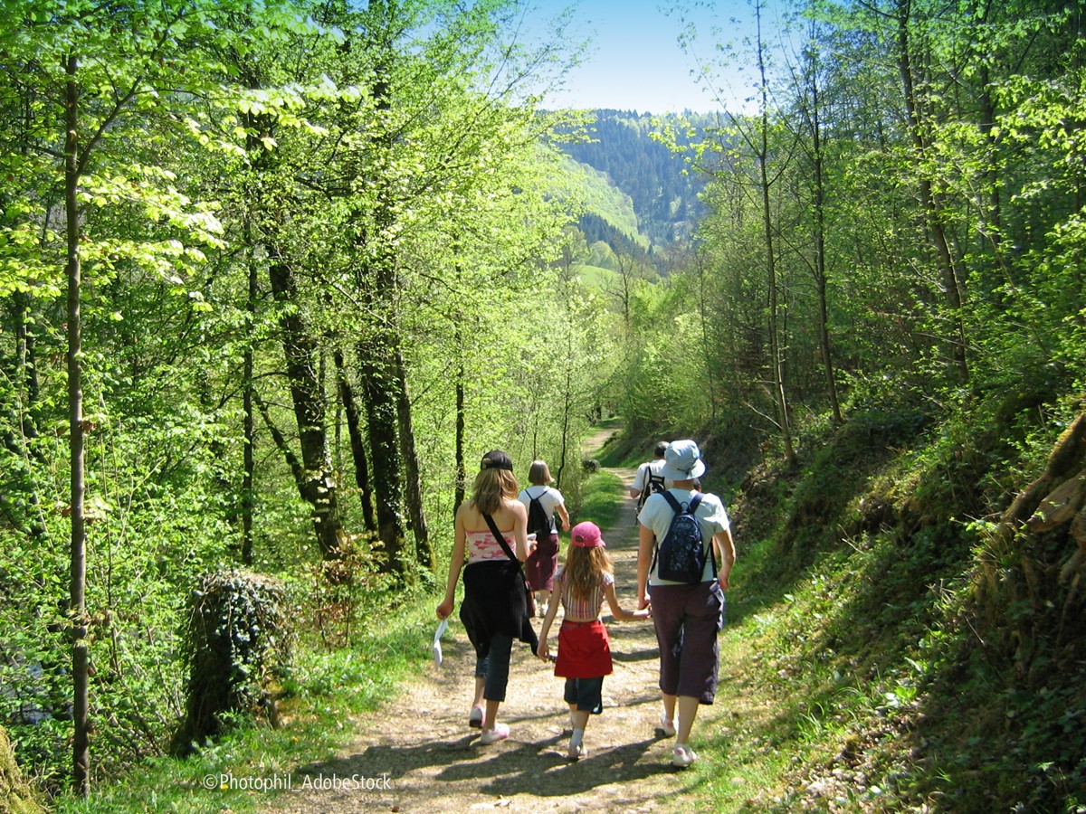 Kräuterwanderungen