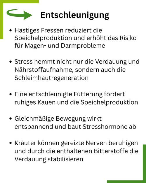 Fuetterung Entschleunigung Blog Tafeln