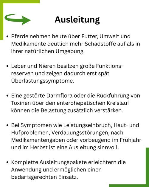 Ausleitung Pferd Summary