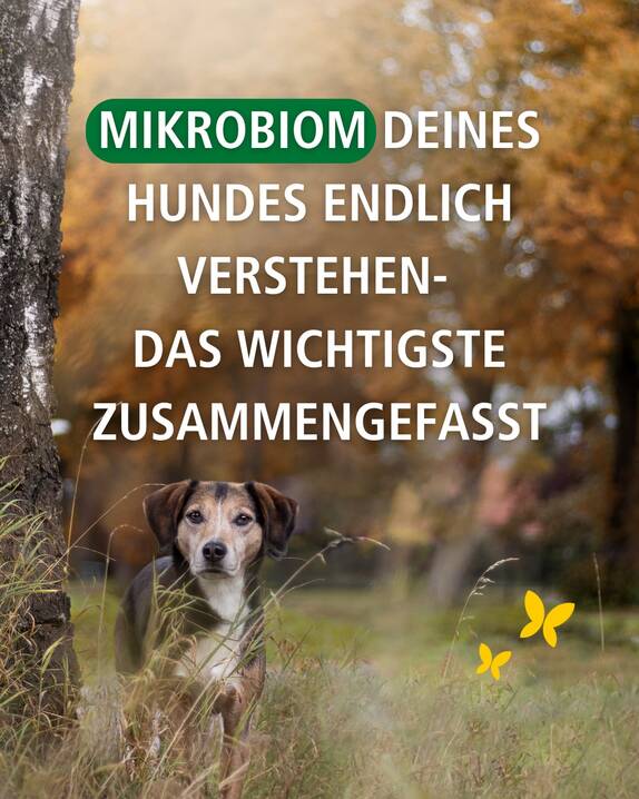www.instagram.com/p/DdjhzAHjFiF