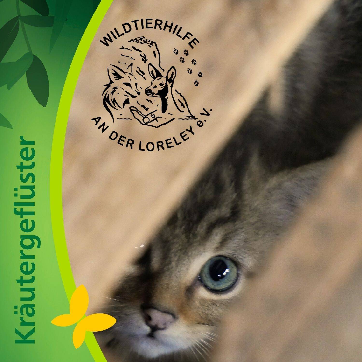 podcast/podcast-wildtierhilfe-loreley-ev