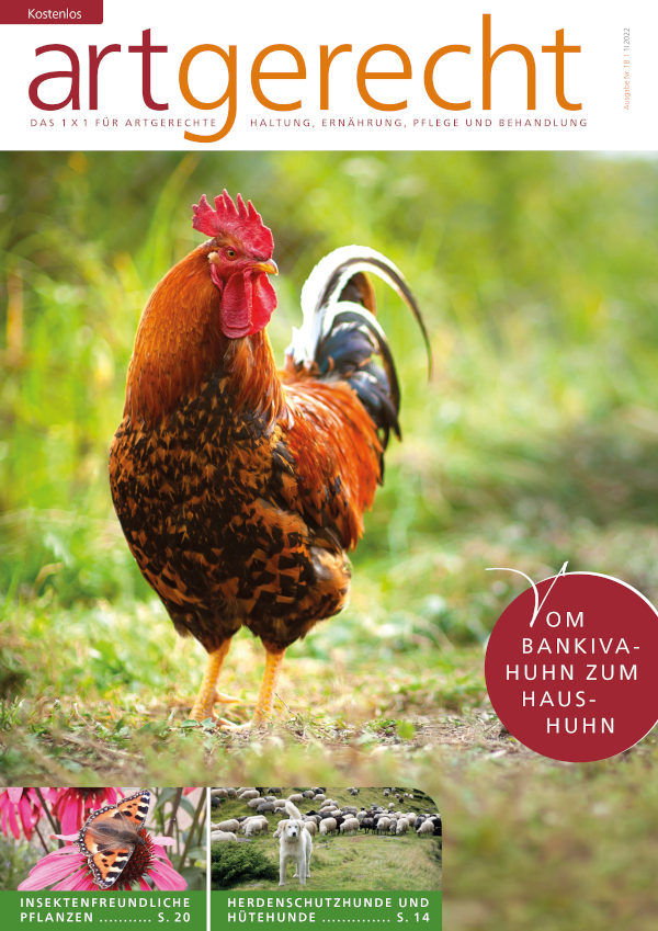 artgerecht - Januar 2022 Ausgabe 18 |  1|2022