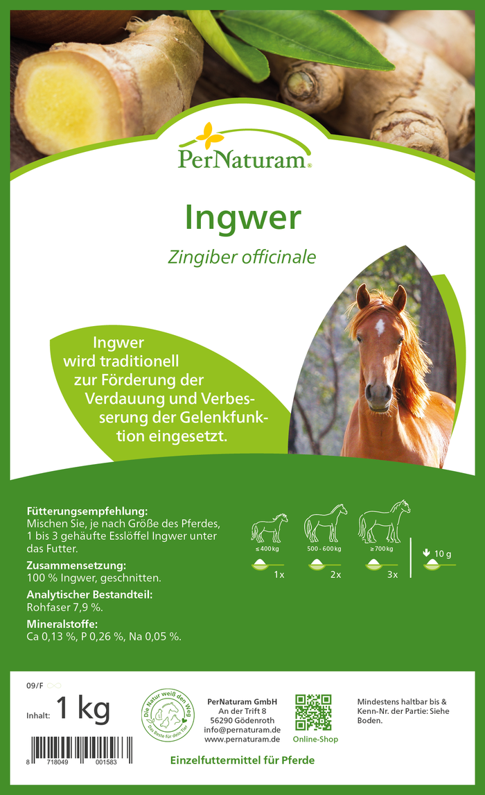 Ingwer (1 kg)
