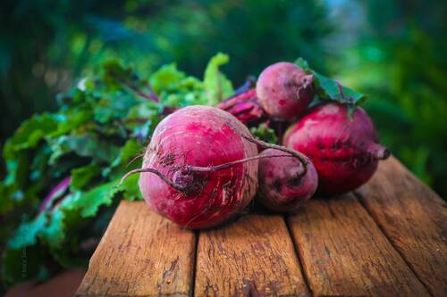 blog/rote-bete-superfood-im-pferdefutter