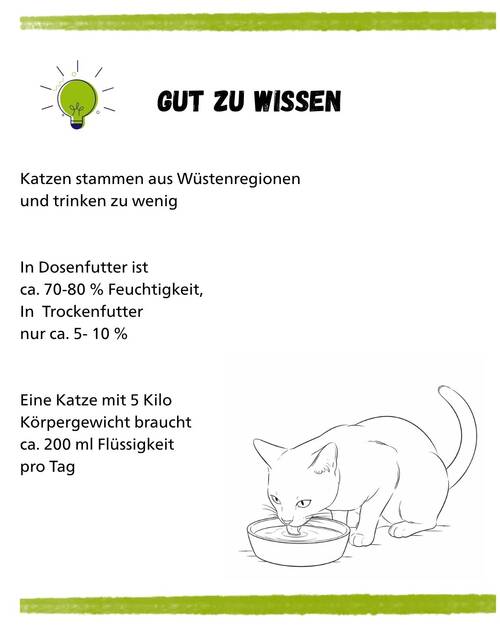 Harnstein Katzen Kurz & Knapp 1
