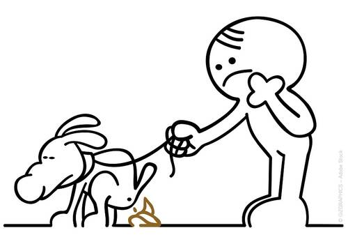 Blogbeitrag von PerNaturam über Hunde
