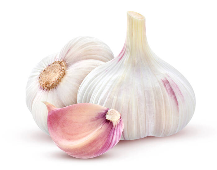 AdobeStock Knoblauch 167654274©xamtiw Allium sativum