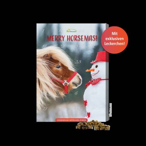 Adventskalender für Pferde