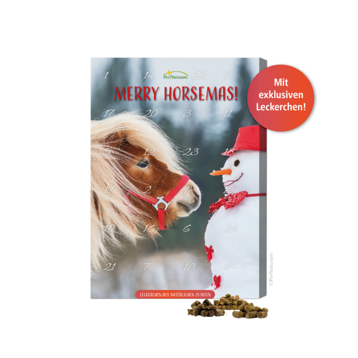 Adventskalender für Pferde